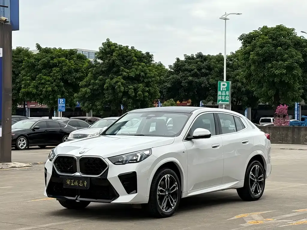 BMW X2 (Import) — фото 1