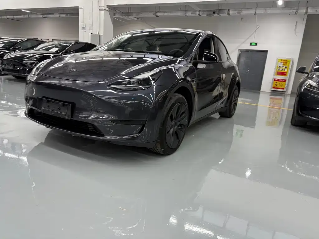 Tesla Model Y — фото 1