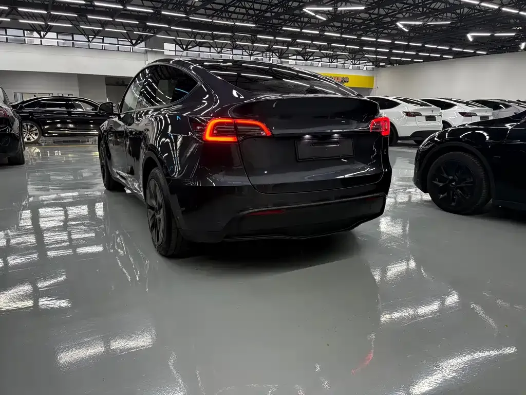 Tesla Model Y — фото 10