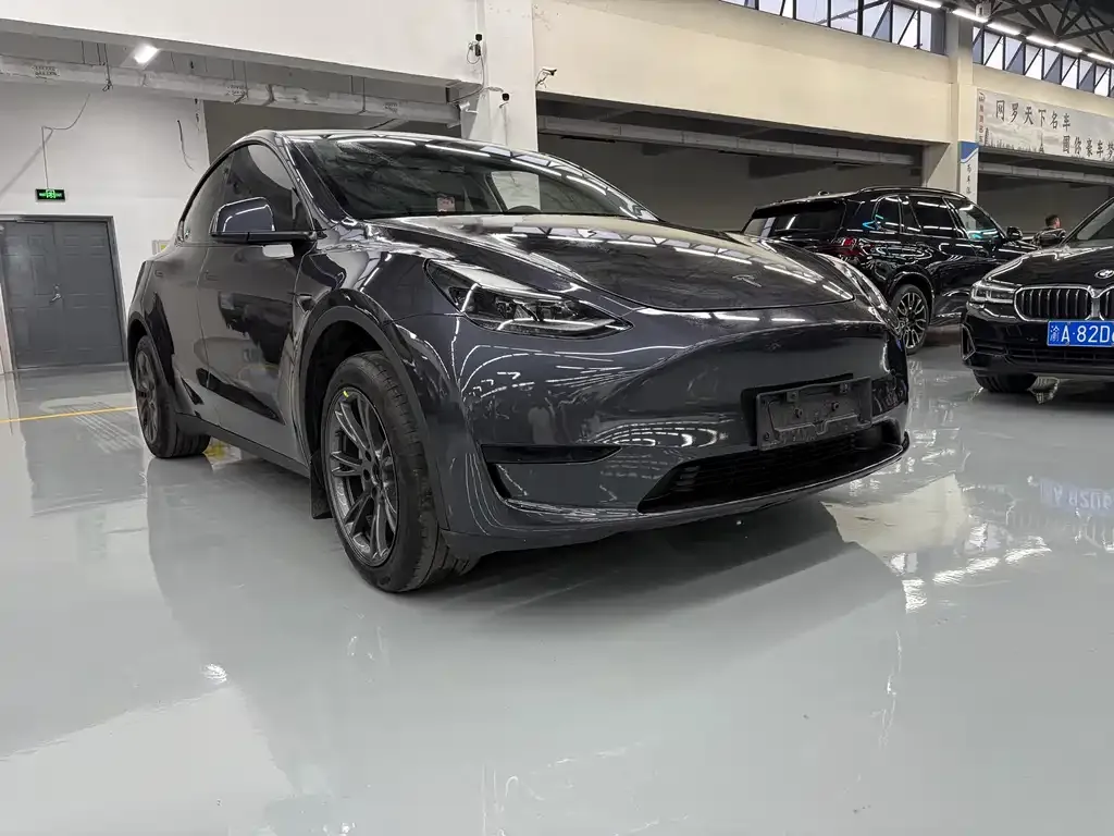 Tesla Model Y — фото 3