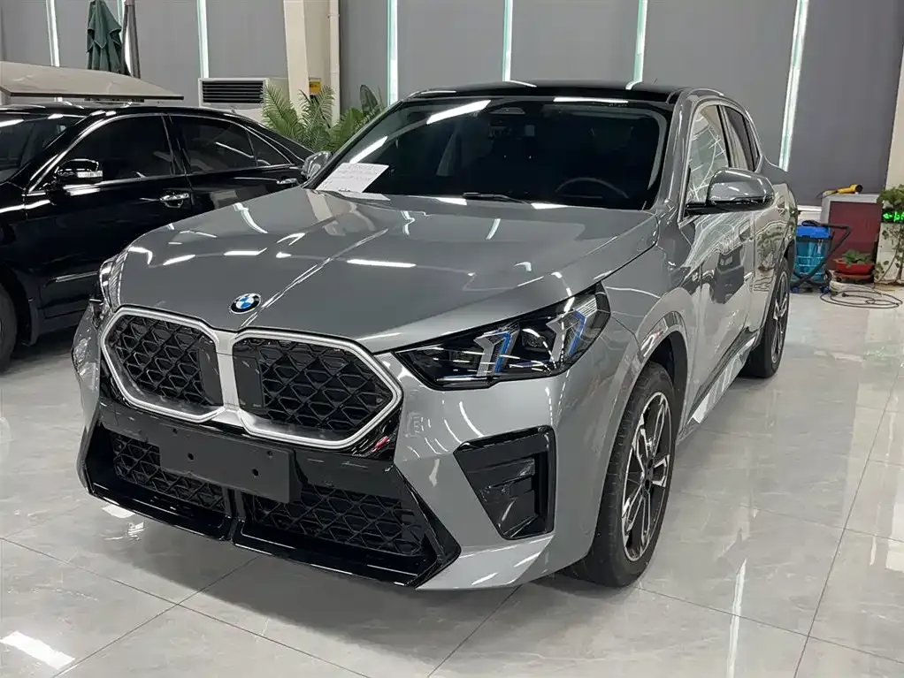 BMW X2 (Import) — фото 1