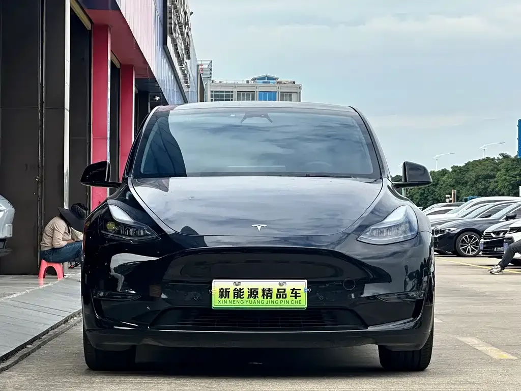Tesla Model Y — фото 2