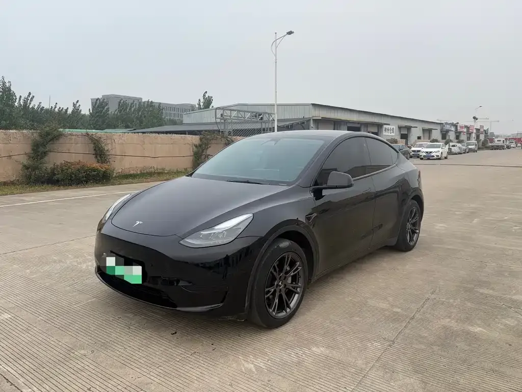 Tesla Model Y — фото 1