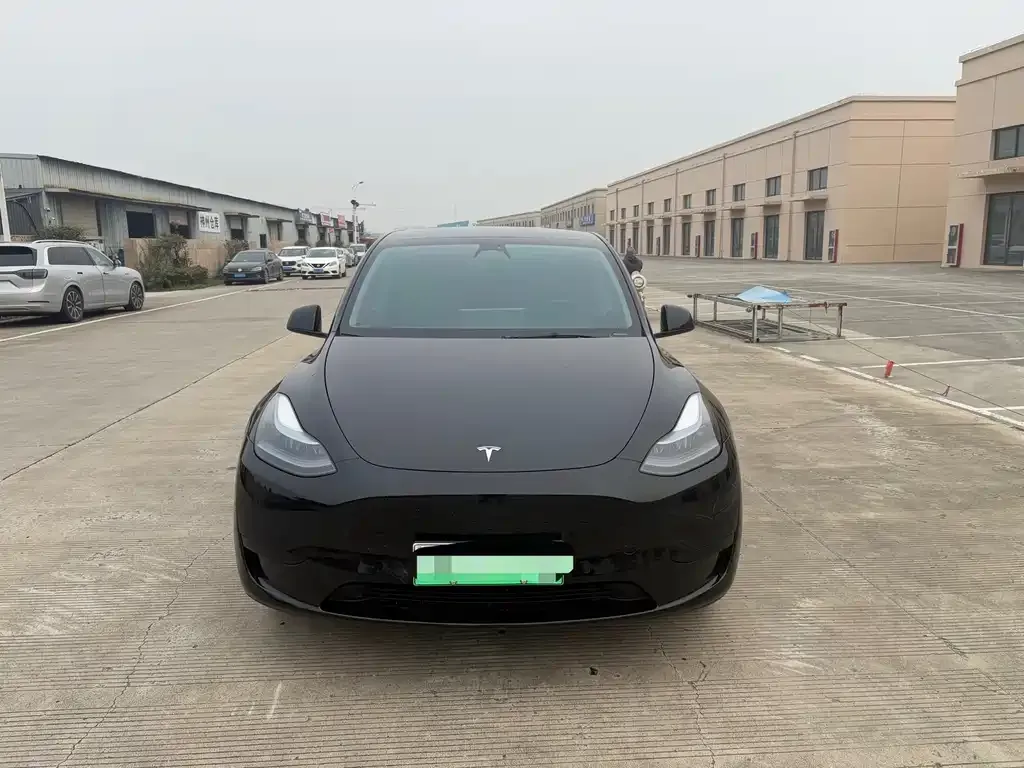 Tesla Model Y — фото 2