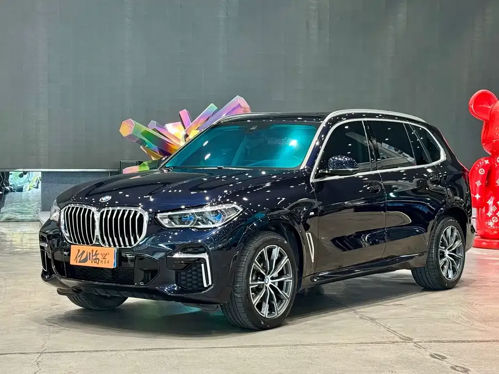 BMW X5 — фото 1