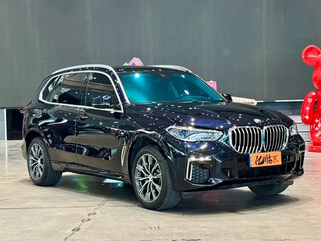 BMW X5 — фото 3