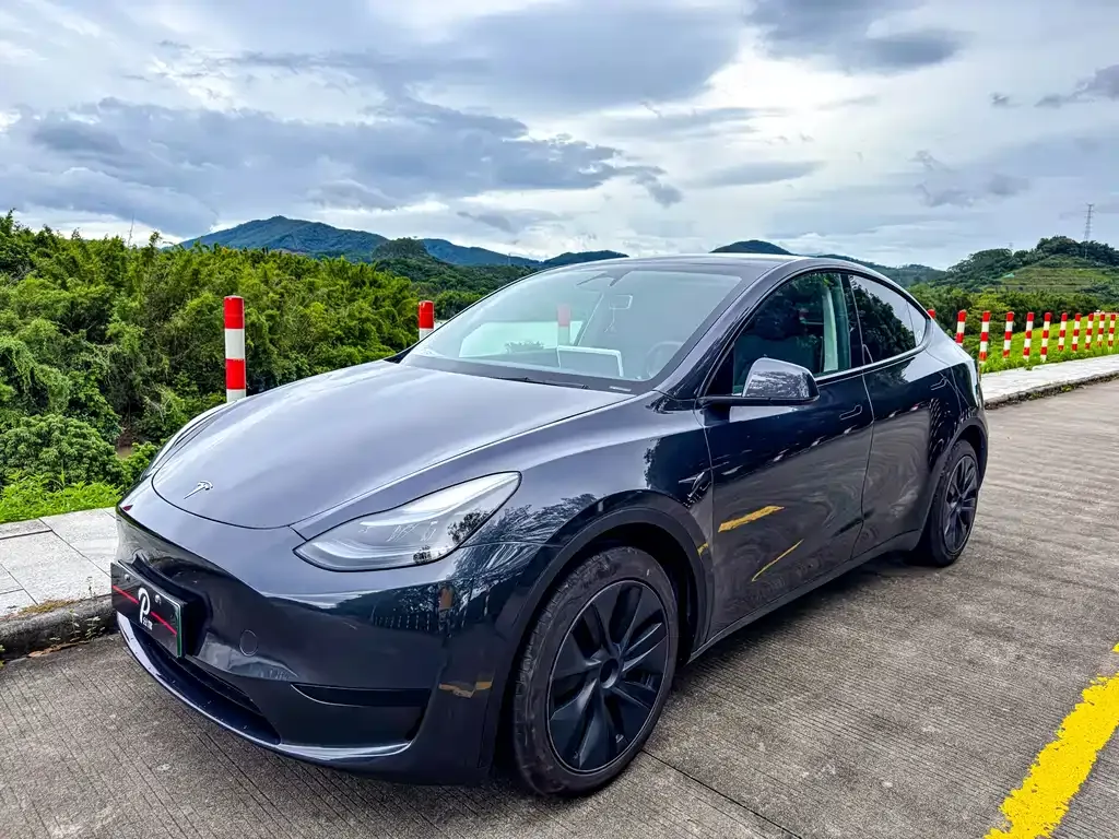 Tesla Model Y — фото 1