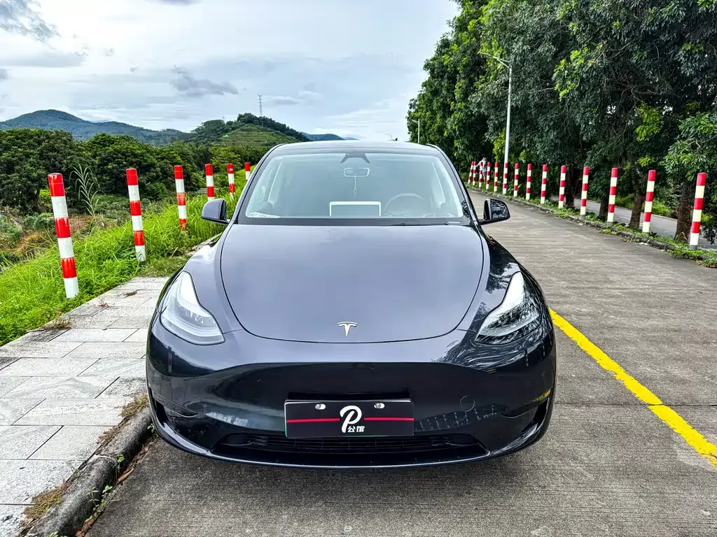 Tesla Model Y — фото 2