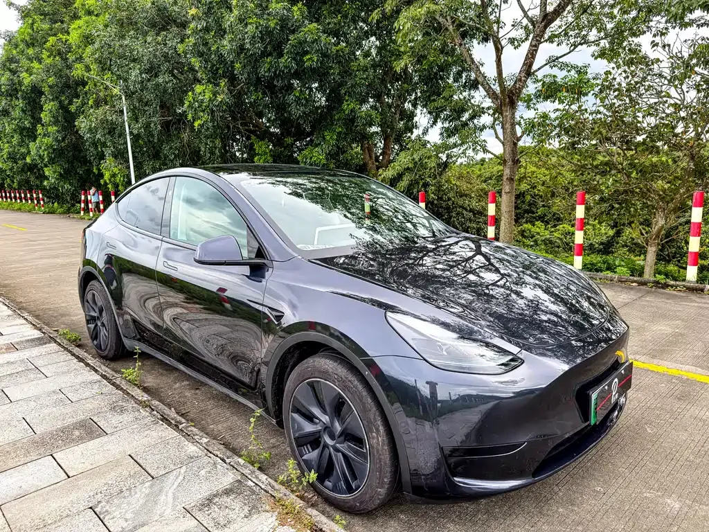 Tesla Model Y — фото 3