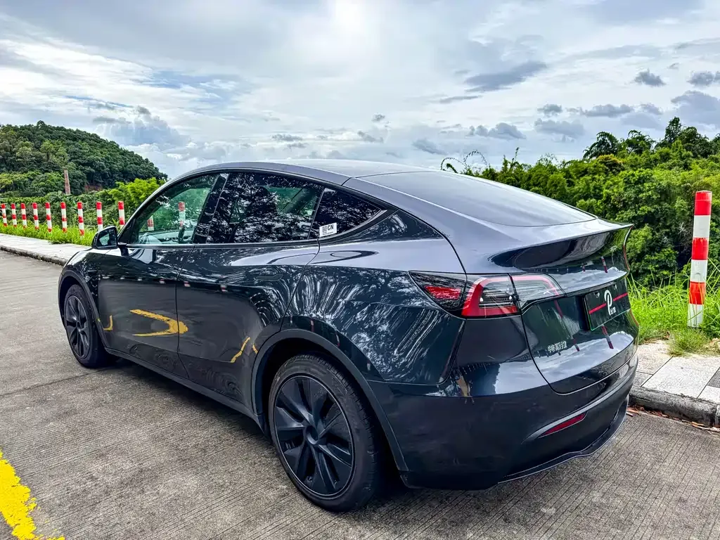 Tesla Model Y — фото 4