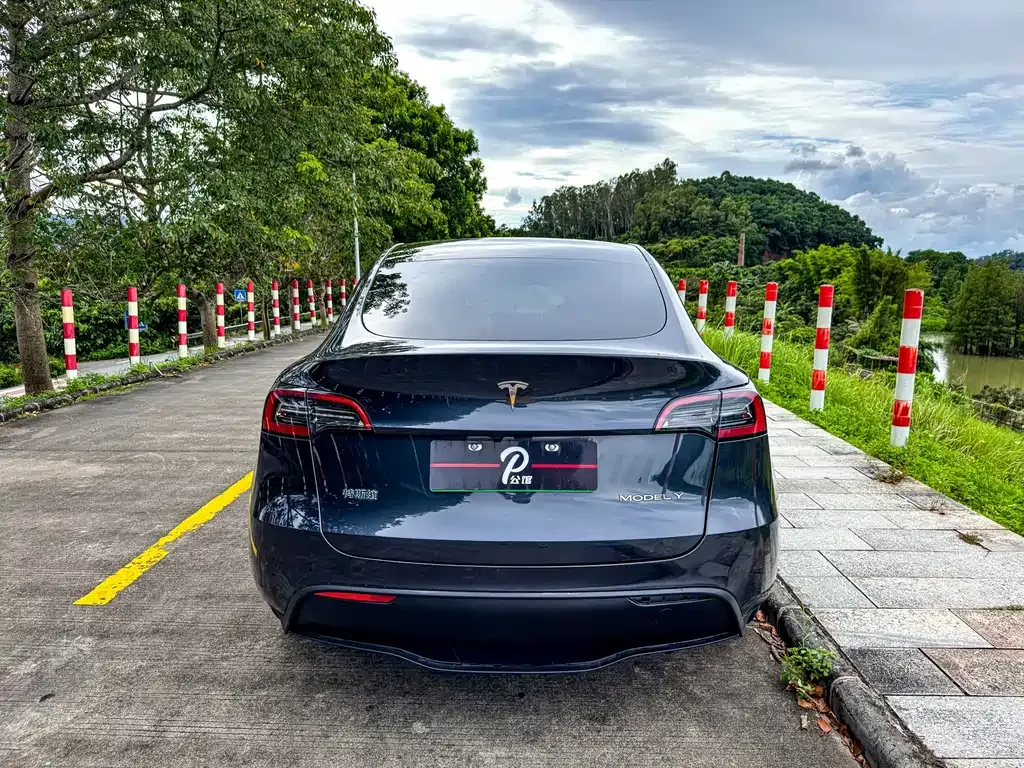Tesla Model Y — фото 5