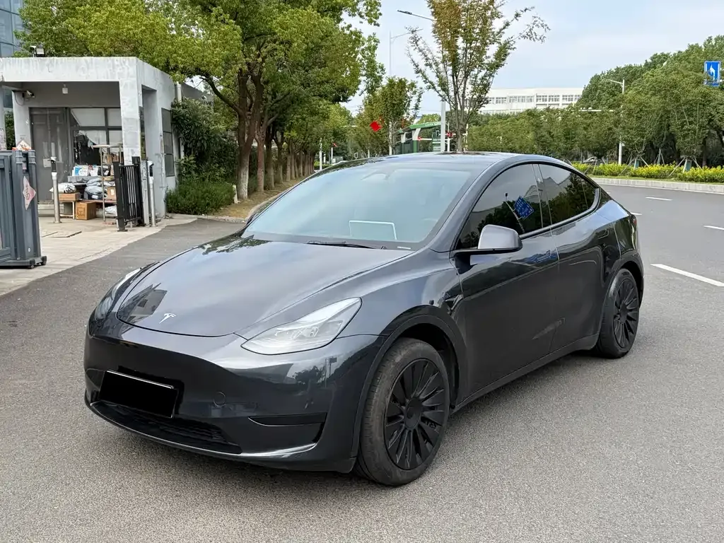 Tesla Model Y — фото 1