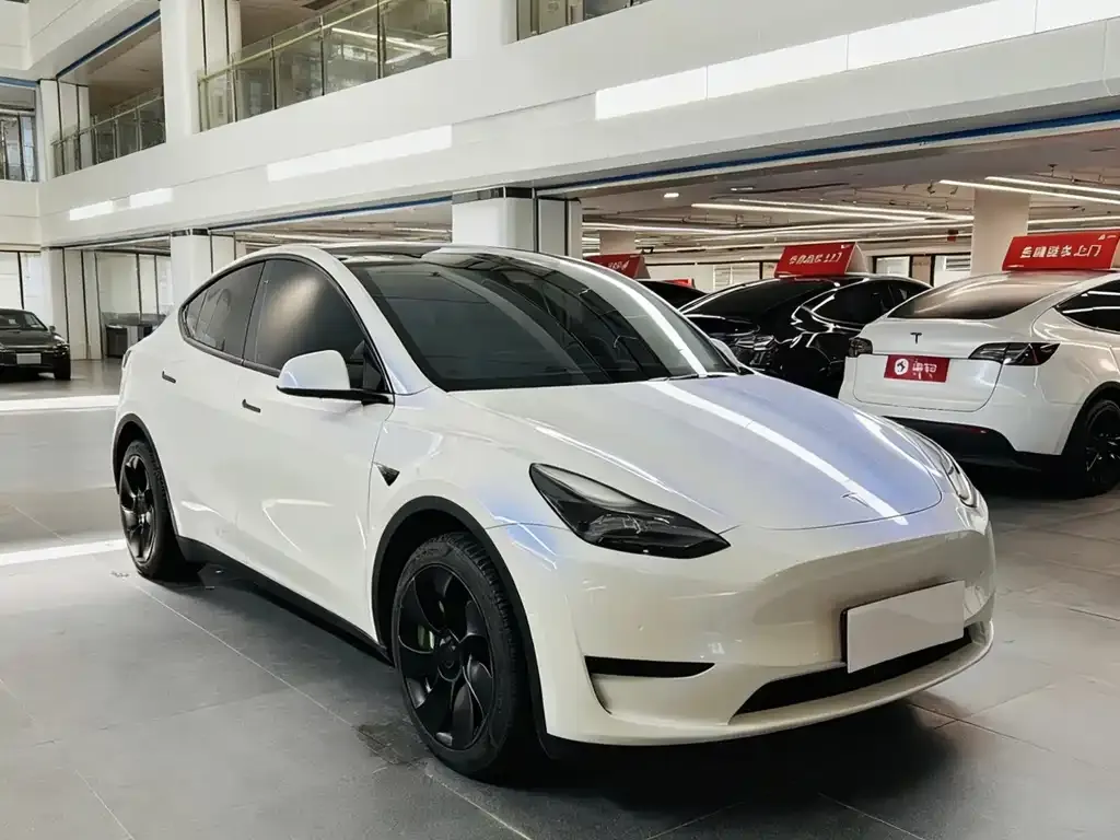 Tesla Model Y — фото 3