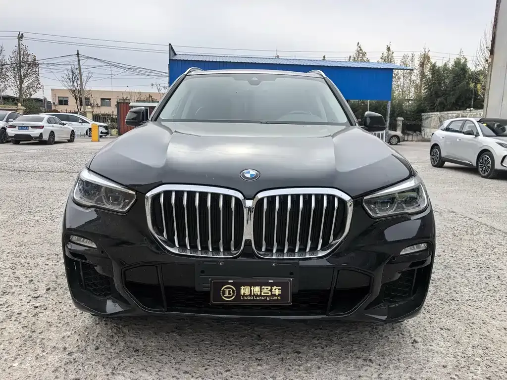 BMW X5 (Import) — фото 2