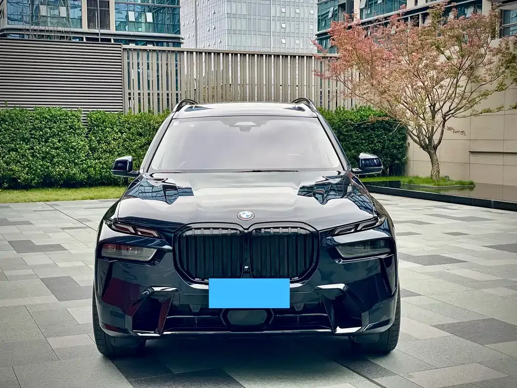 BMW X7 — фото 2