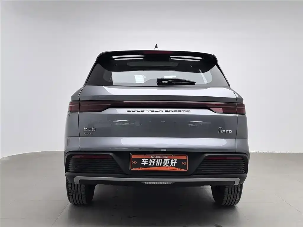 BYD Pro New Energy — фото 4