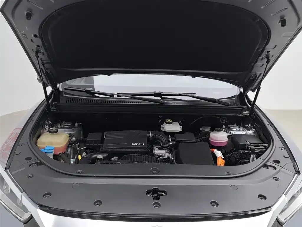 BYD Pro New Energy — фото 6