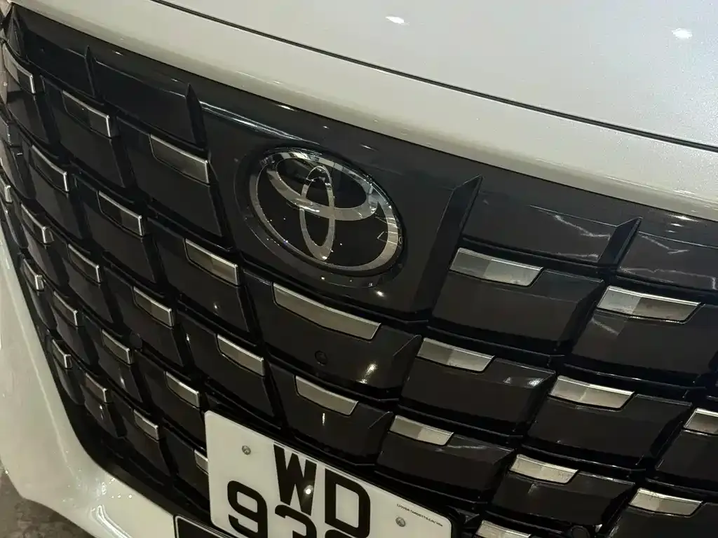 Toyota Alphard — фото 10