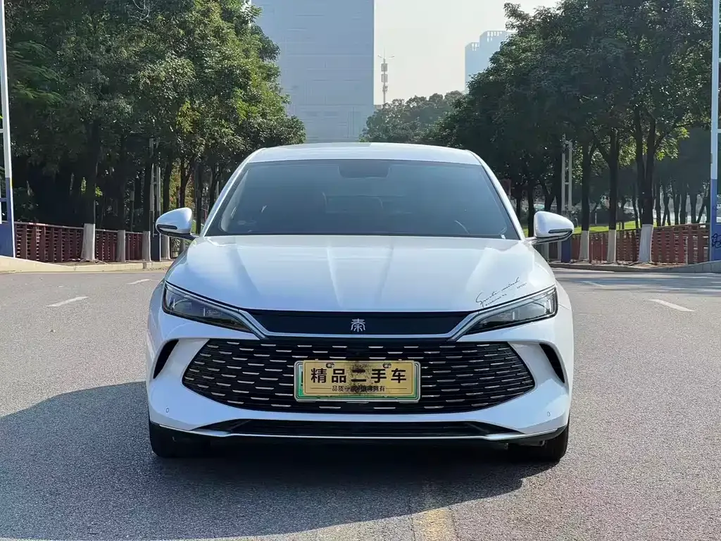 BYD Qin L — фото 2