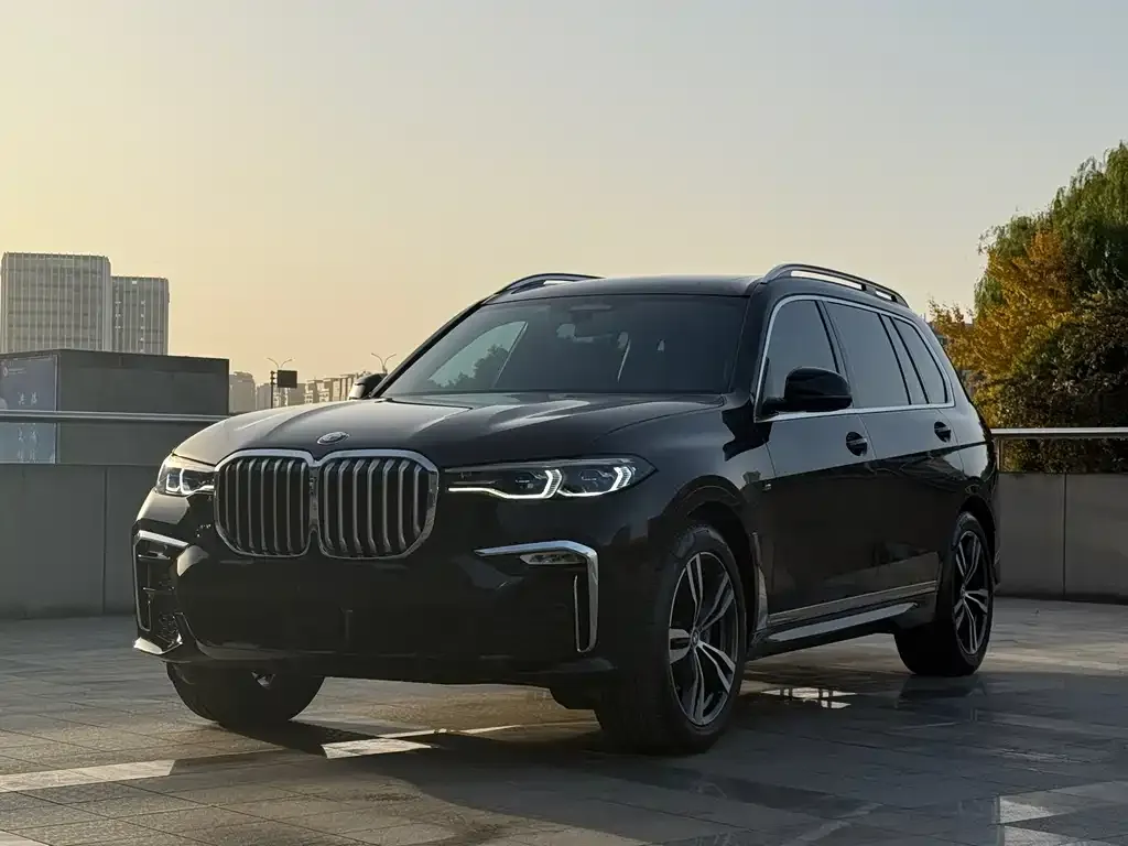 BMW X7 — фото 1