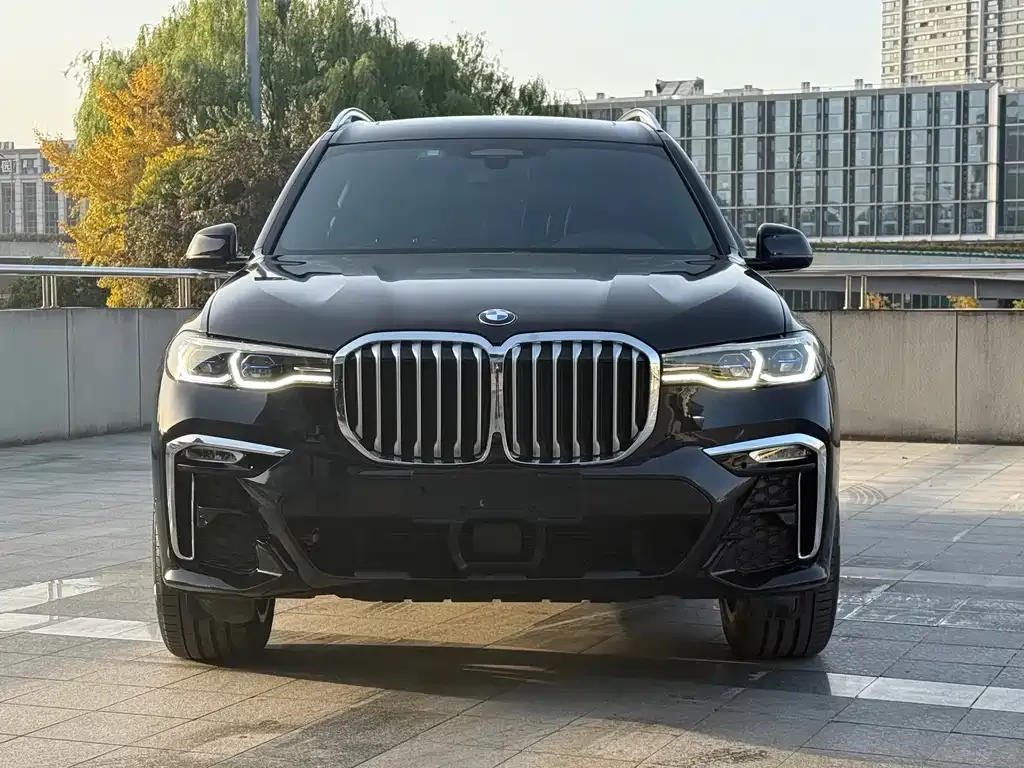 BMW X7 — фото 2