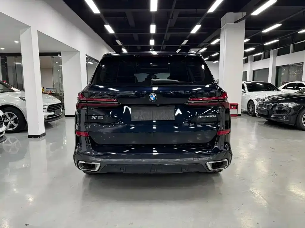 BMW X5 — фото 6