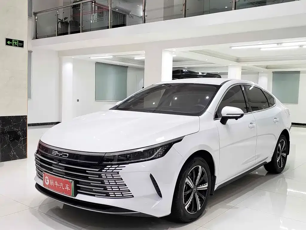 BYD Destroyer 05 — фото 1