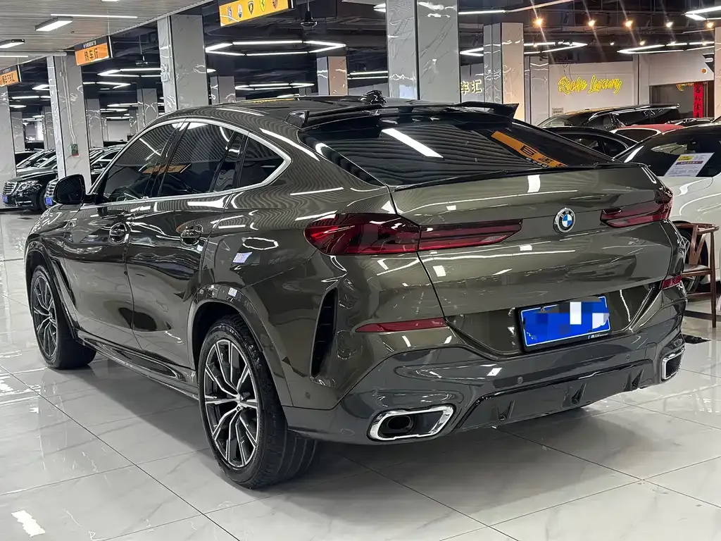 BMW X6 — фото 6