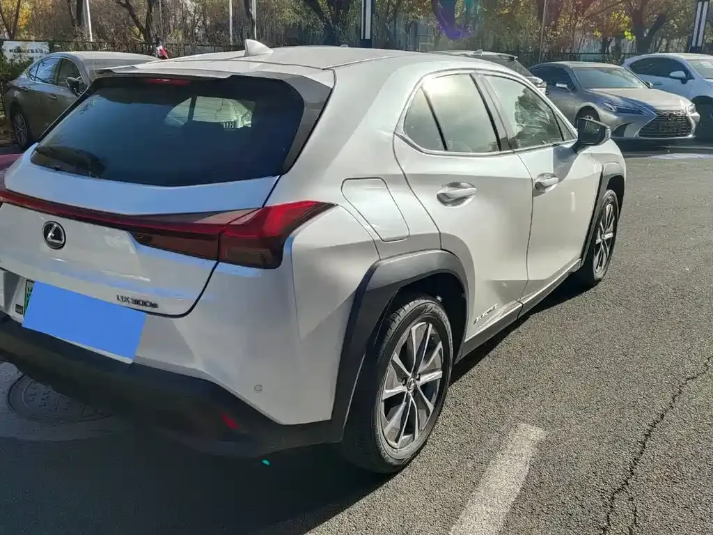 Lexus UX New Energy — фото 10