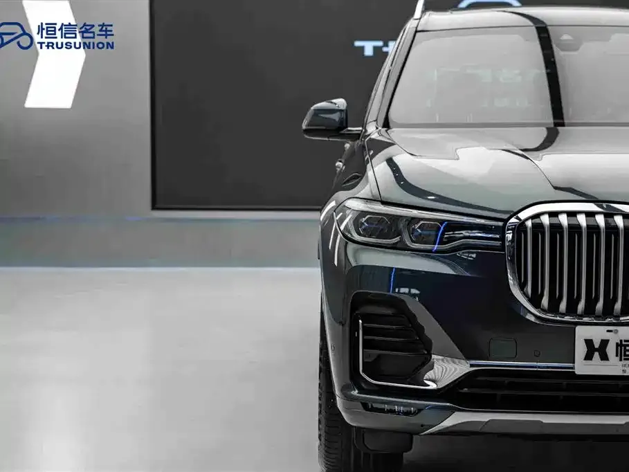 BMW X7 — фото 8