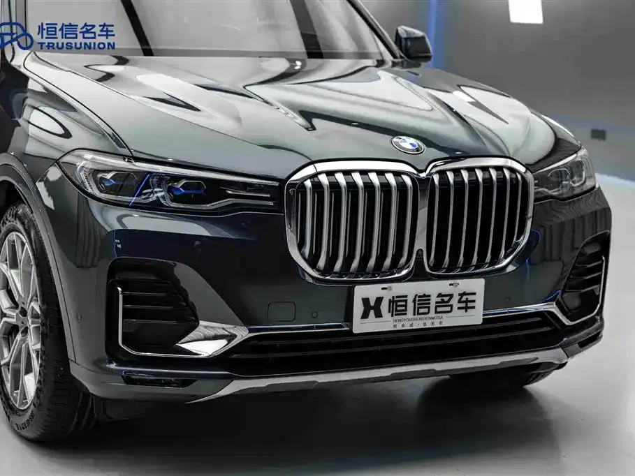 BMW X7 — фото 9