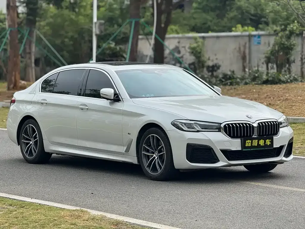 BMW 5 Series New Energy — фото 3