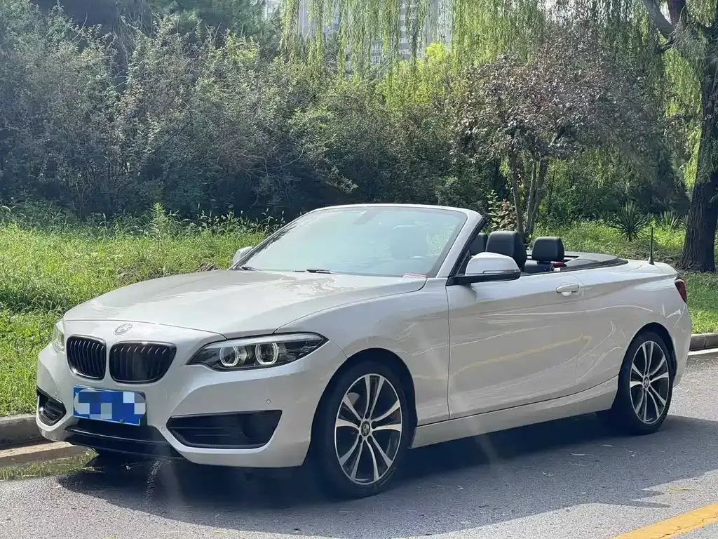BMW 2 Series (Import) — фото 1
