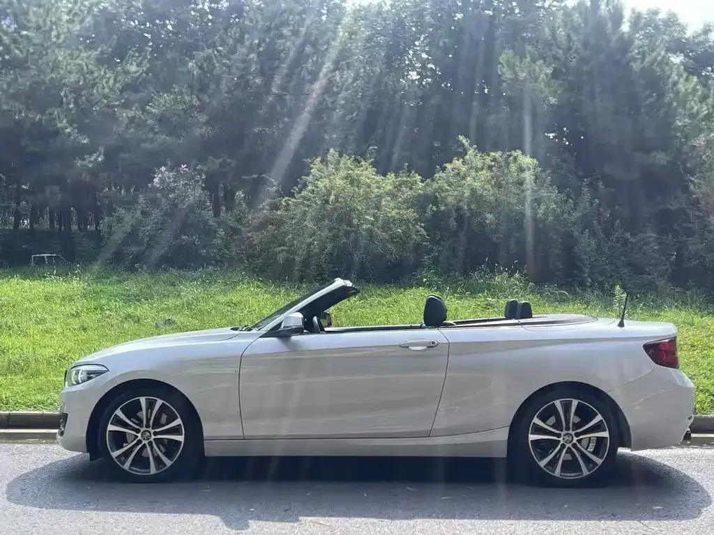 BMW 2 Series (Import) — фото 3