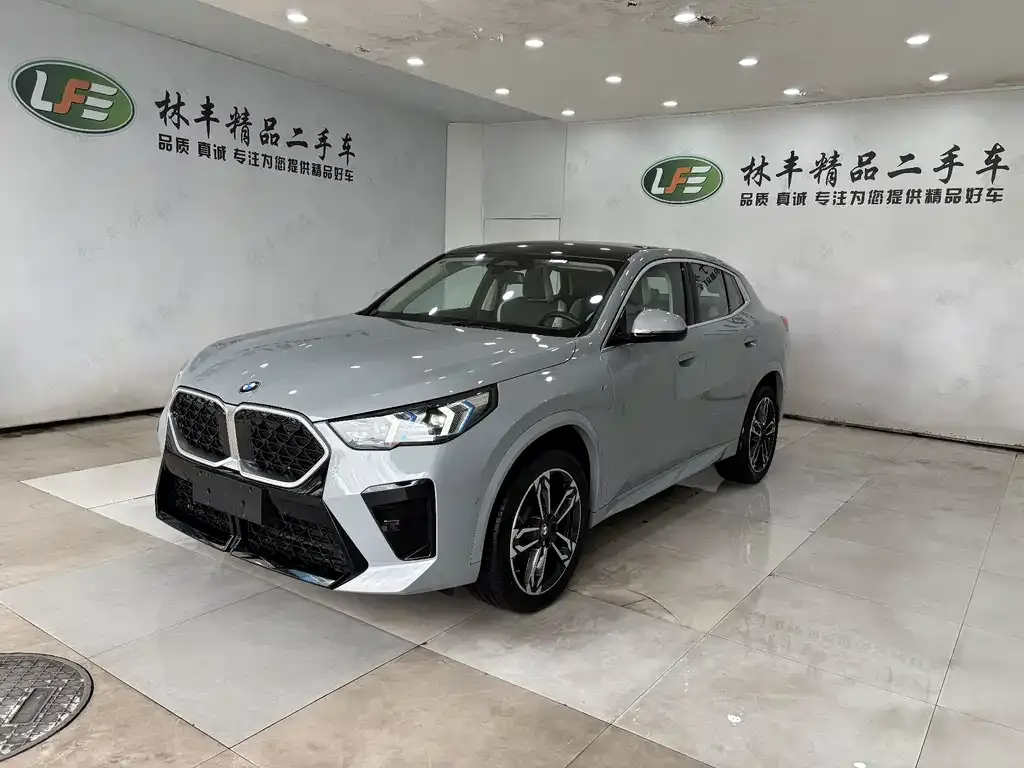 BMW X2 (Import) — фото 1