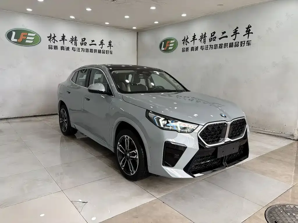 BMW X2 (Import) — фото 4
