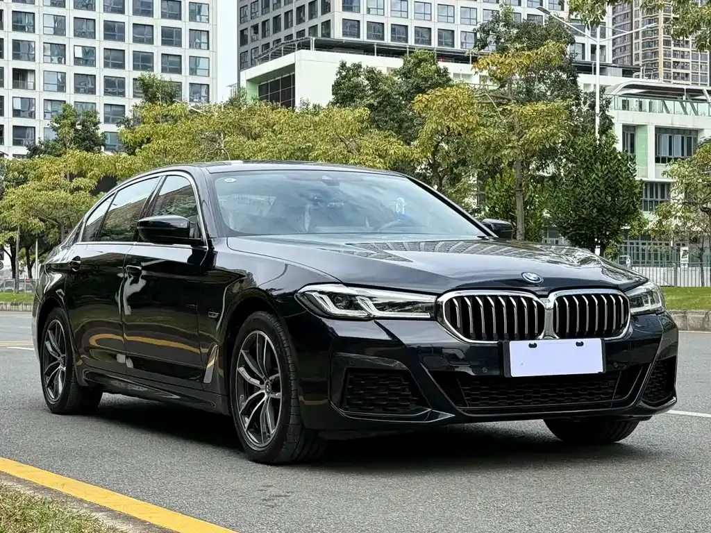 BMW 5 Series New Energy — фото 3