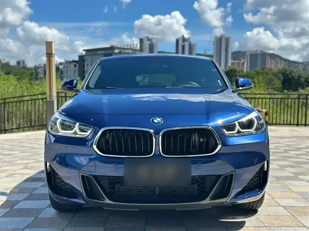BMW X2 — фото 8