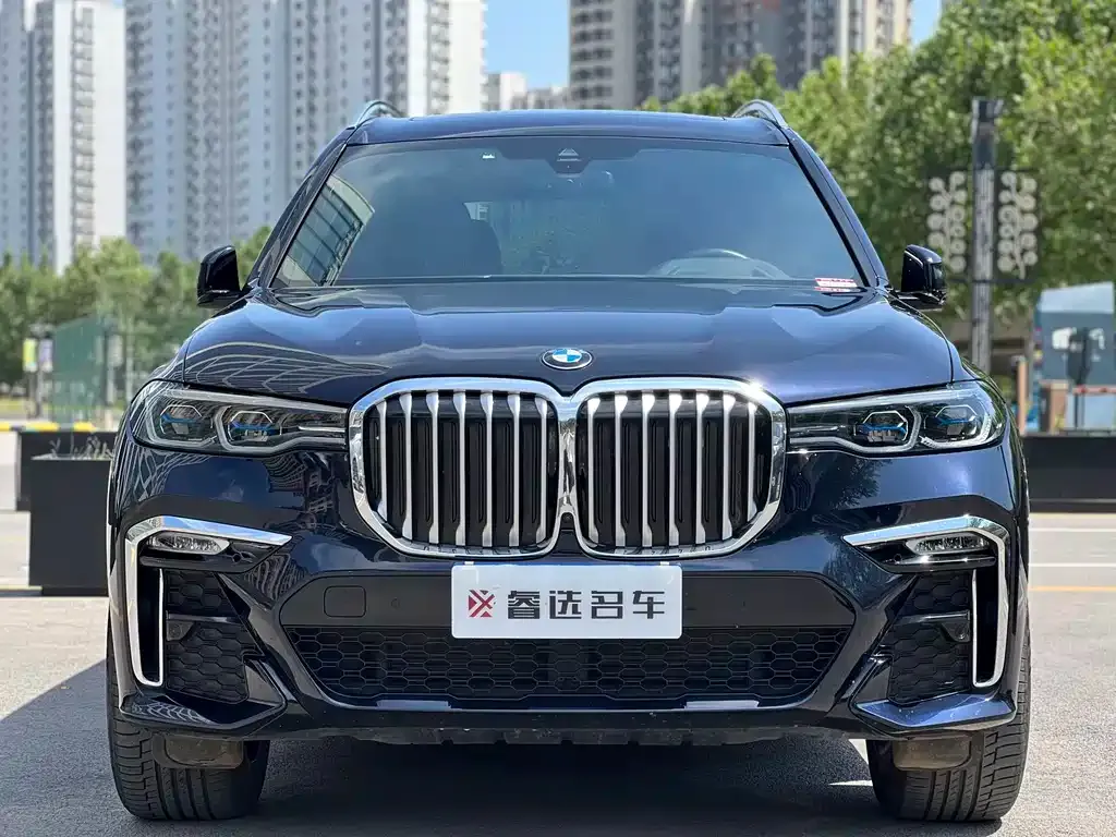BMW X7 — фото 2