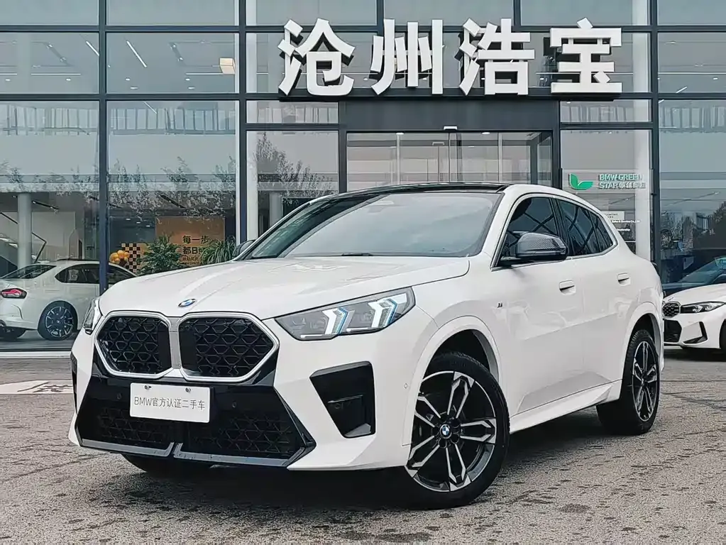BMW X2 (Import) — фото 1