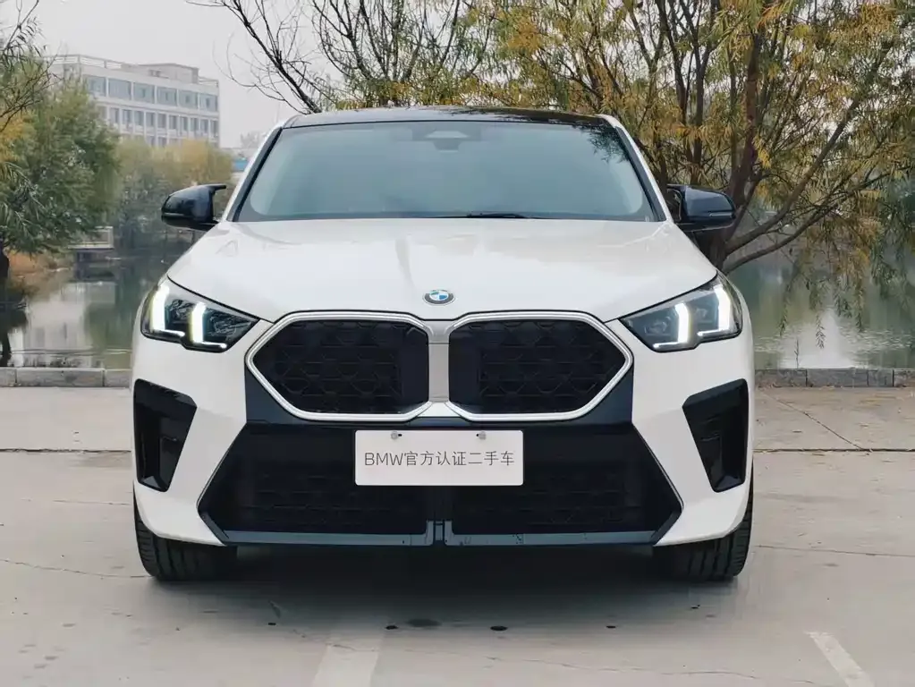 BMW X2 (Import) — фото 2