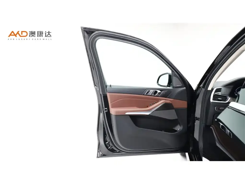 BMW X5 New Energy (Import) — фото 10