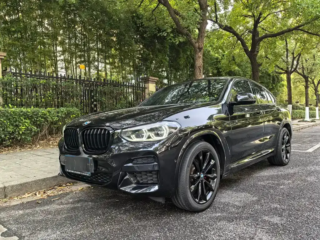 BMW X4 — фото 1