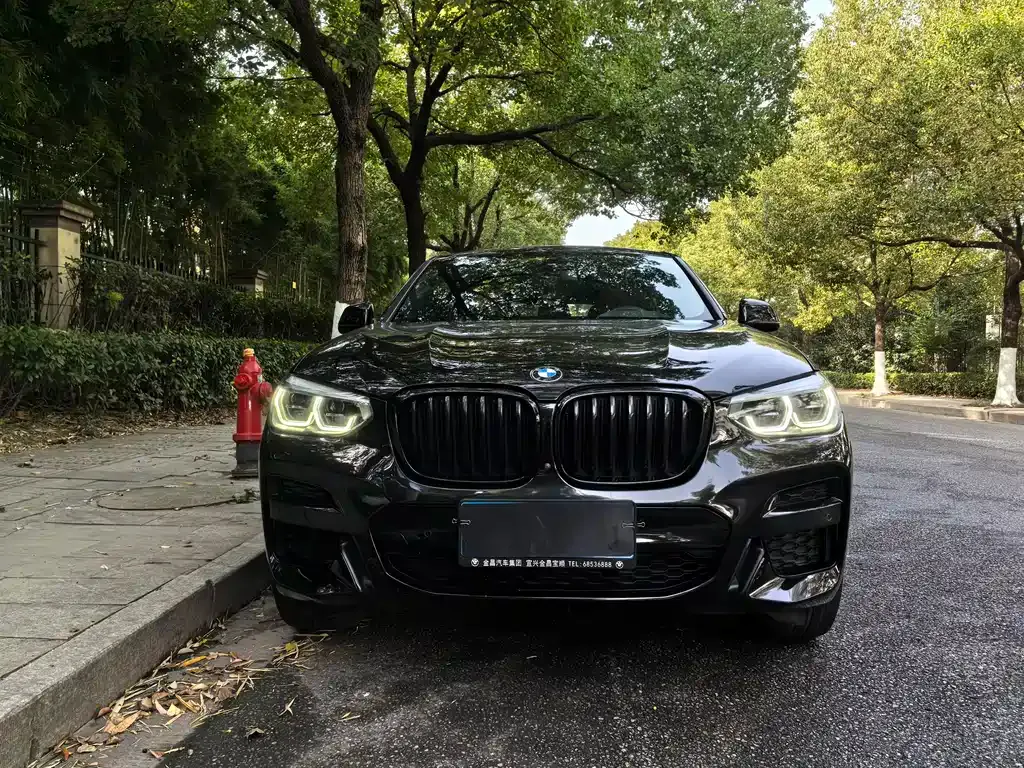 BMW X4 — фото 2