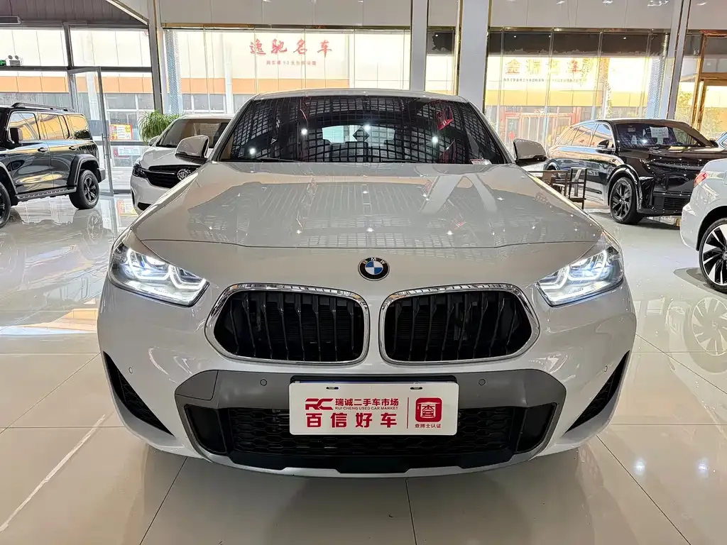 BMW X2 — фото 2