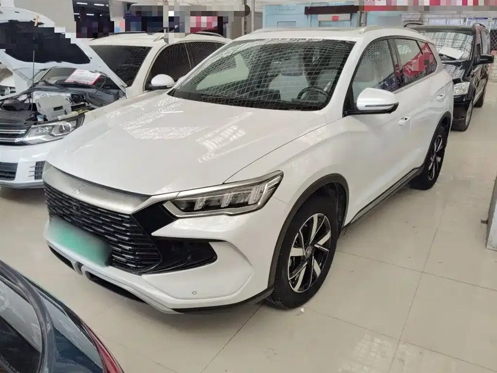 BYD Pro New Energy — фото 2
