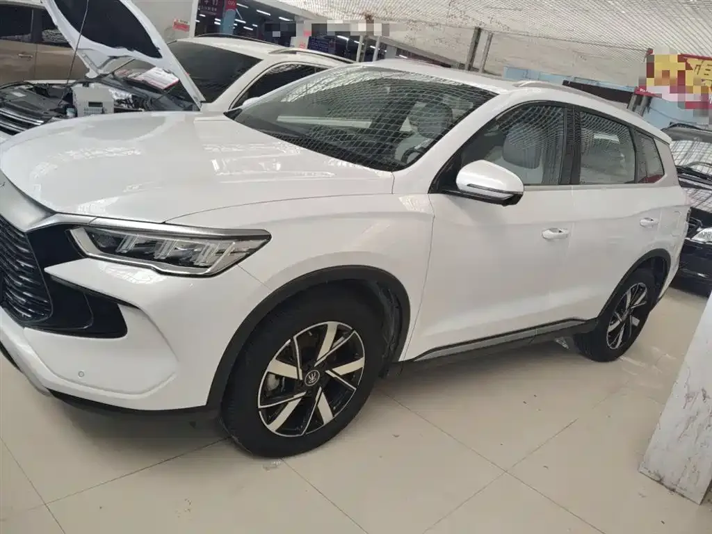 BYD Pro New Energy — фото 5