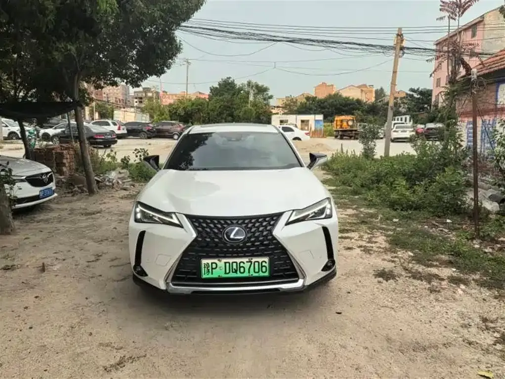 Lexus UX New Energy — фото 2