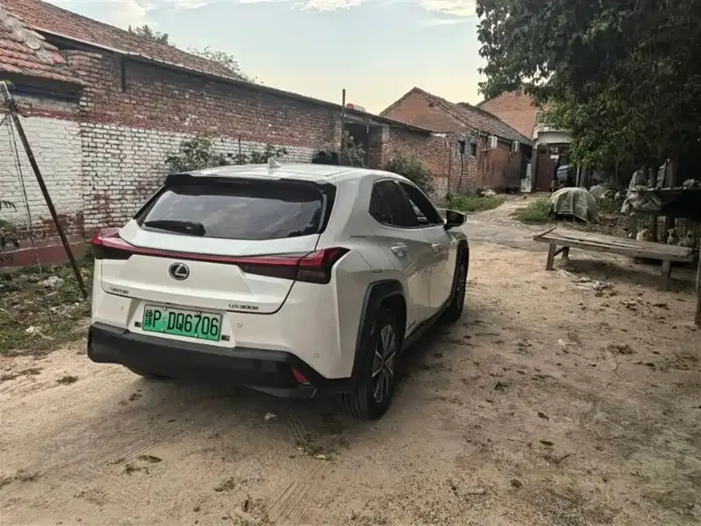Lexus UX New Energy — фото 5