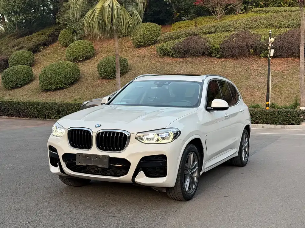 BMW X3 — фото 1
